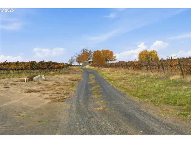 a view of a house with a mountain in the background