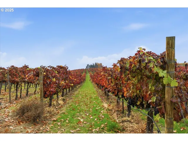 a view of ocean view with beach