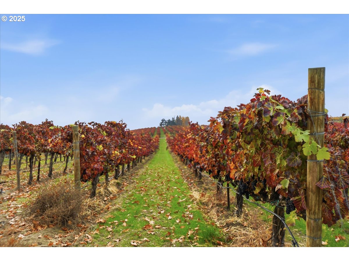 499 Alderdale Road Prosser, WA 99350 - Photo 36 of 41 a view of a house with a mountain in the background