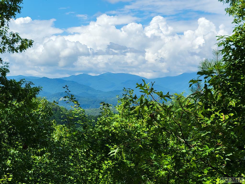 209 Cloud Dancer Ridge Franklin, NC 28734 - Photo 43 of 48 Gallery Image 43