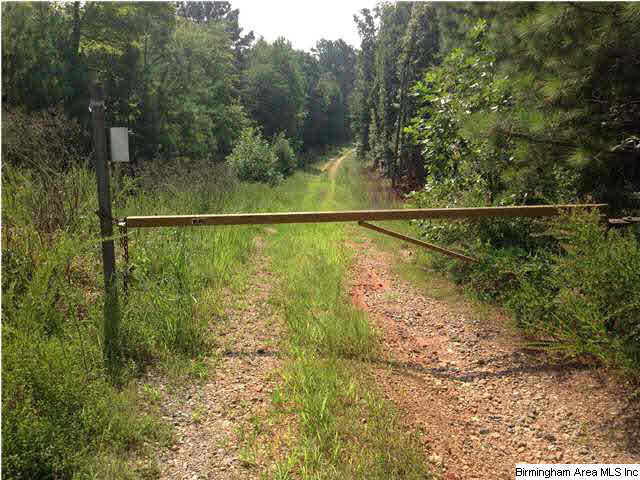 78 Highway 78, Unit 85 Fruithurst, AL 36262 - Photo 3 of 11
