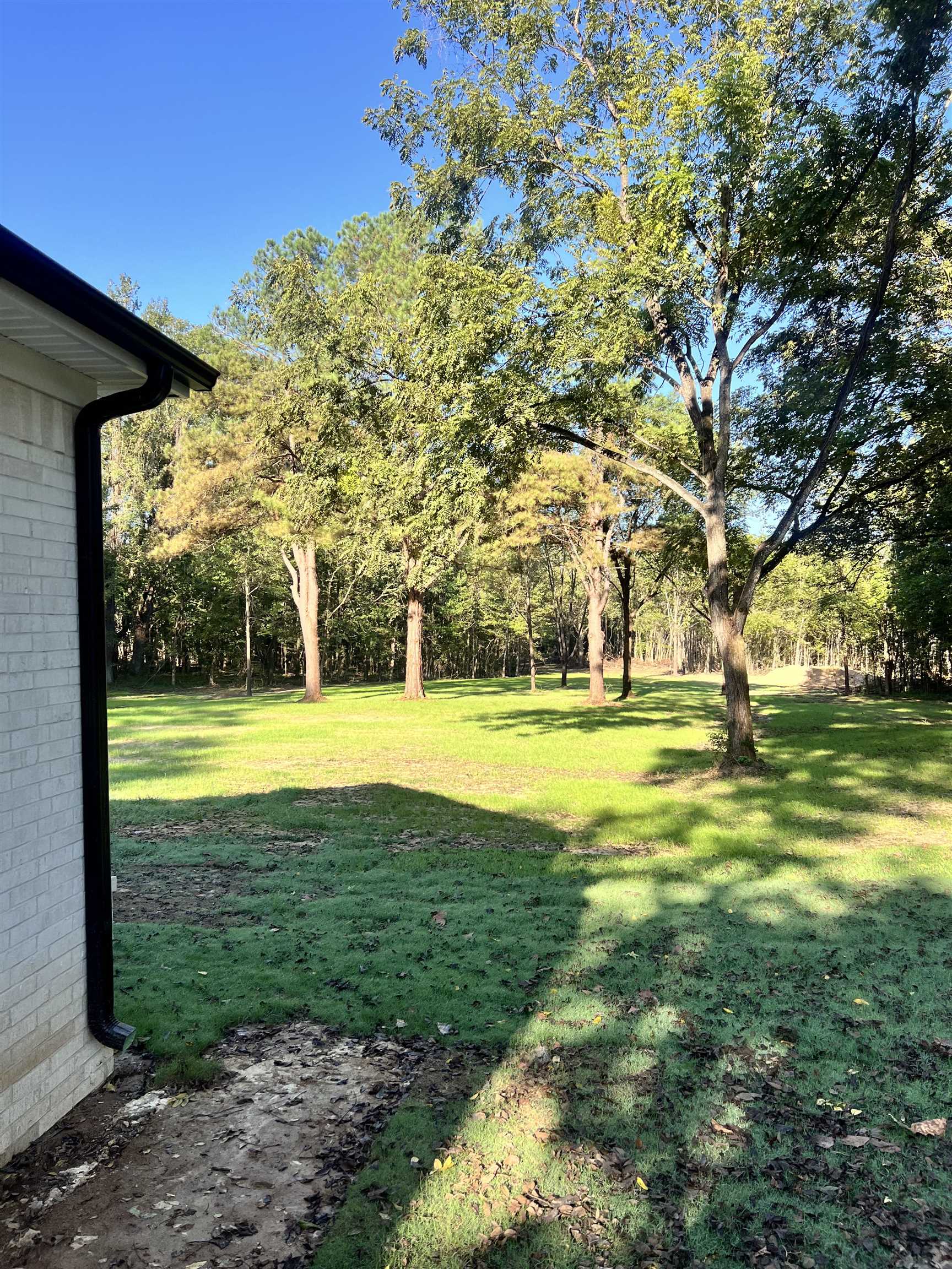8515 Epperson Mill Road Millington, TN 38053 - Photo 31 of 32 View of yard