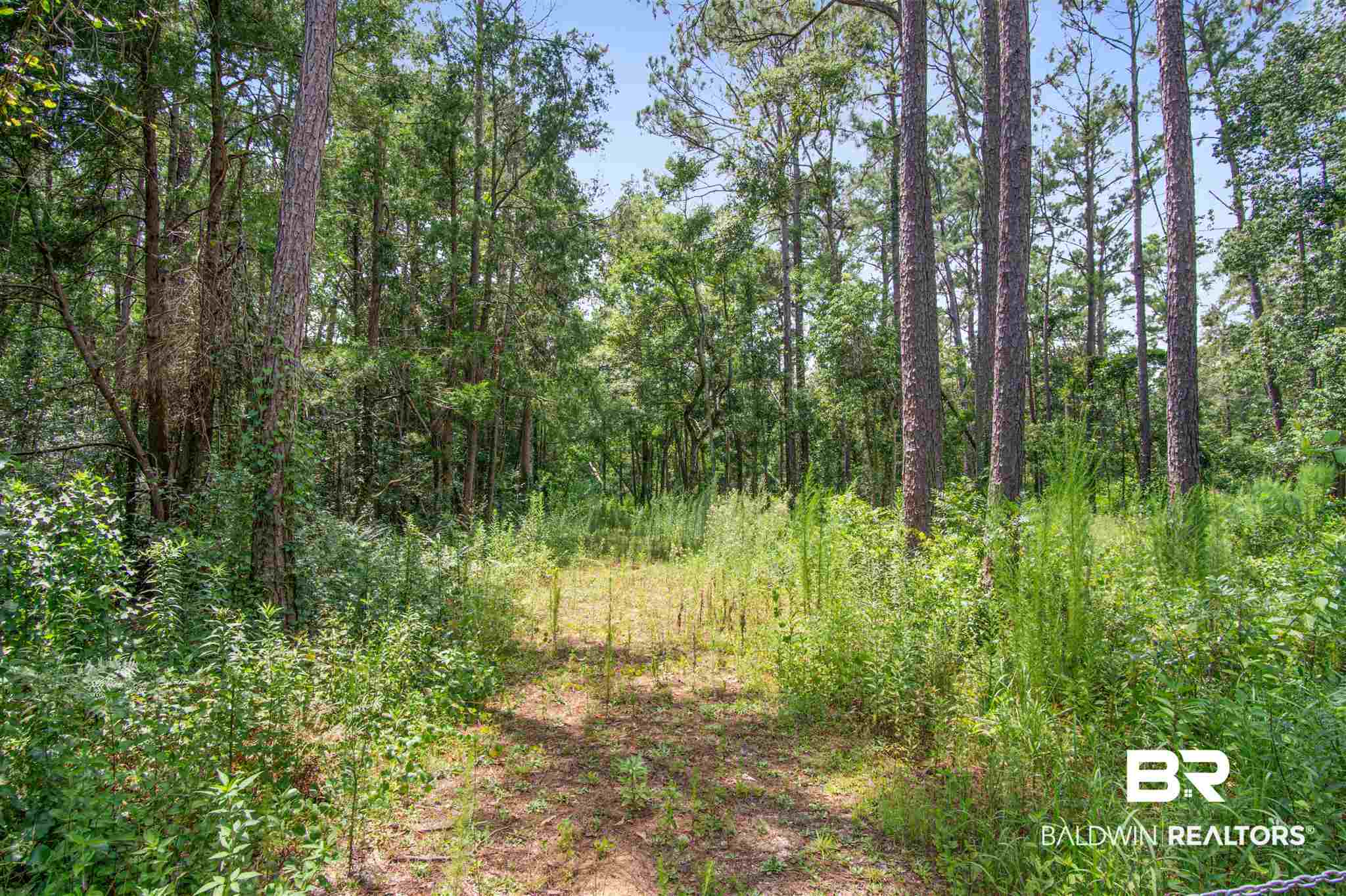 17793 River Road Summerdale, AL 36580 - Photo 1 of 17