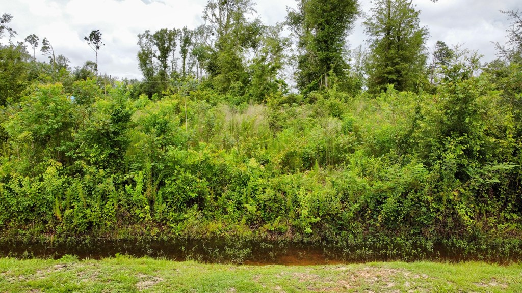 5 Hand Circle Wewahitchka, FL 32465 - Photo 2 of 6
