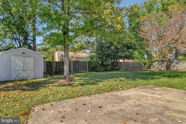 a backyard of a house with plants and large tree