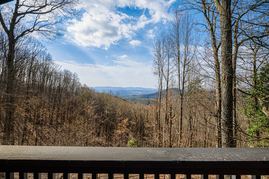 170 Walnut Ridge Ellijay, GA 30536 - Photo 21 of 65 Mountain View