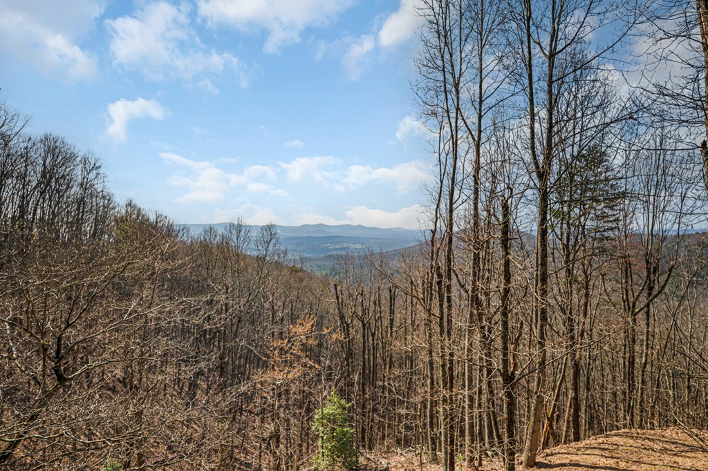 170 Walnut Ridge Ellijay, GA 30536 - Photo 59 of 65