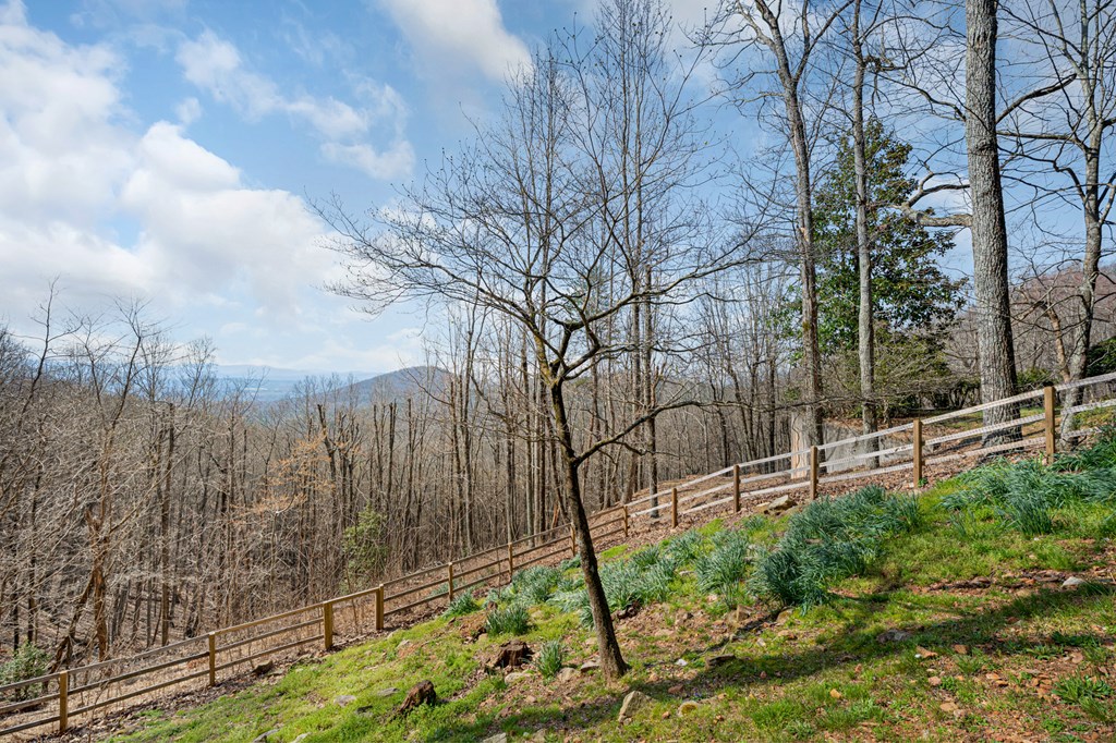 170 Walnut Ridge Ellijay, GA 30536 - Photo 60 of 65 Fenced back yard