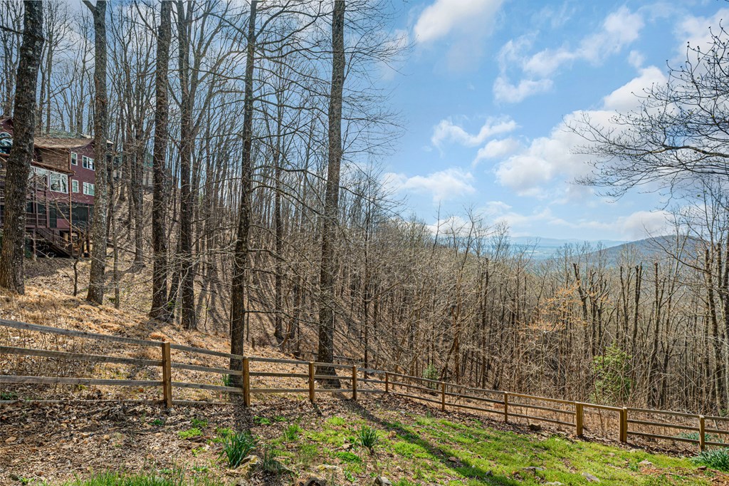 170 Walnut Ridge Ellijay, GA 30536 - Photo 61 of 65 Fenced back yard