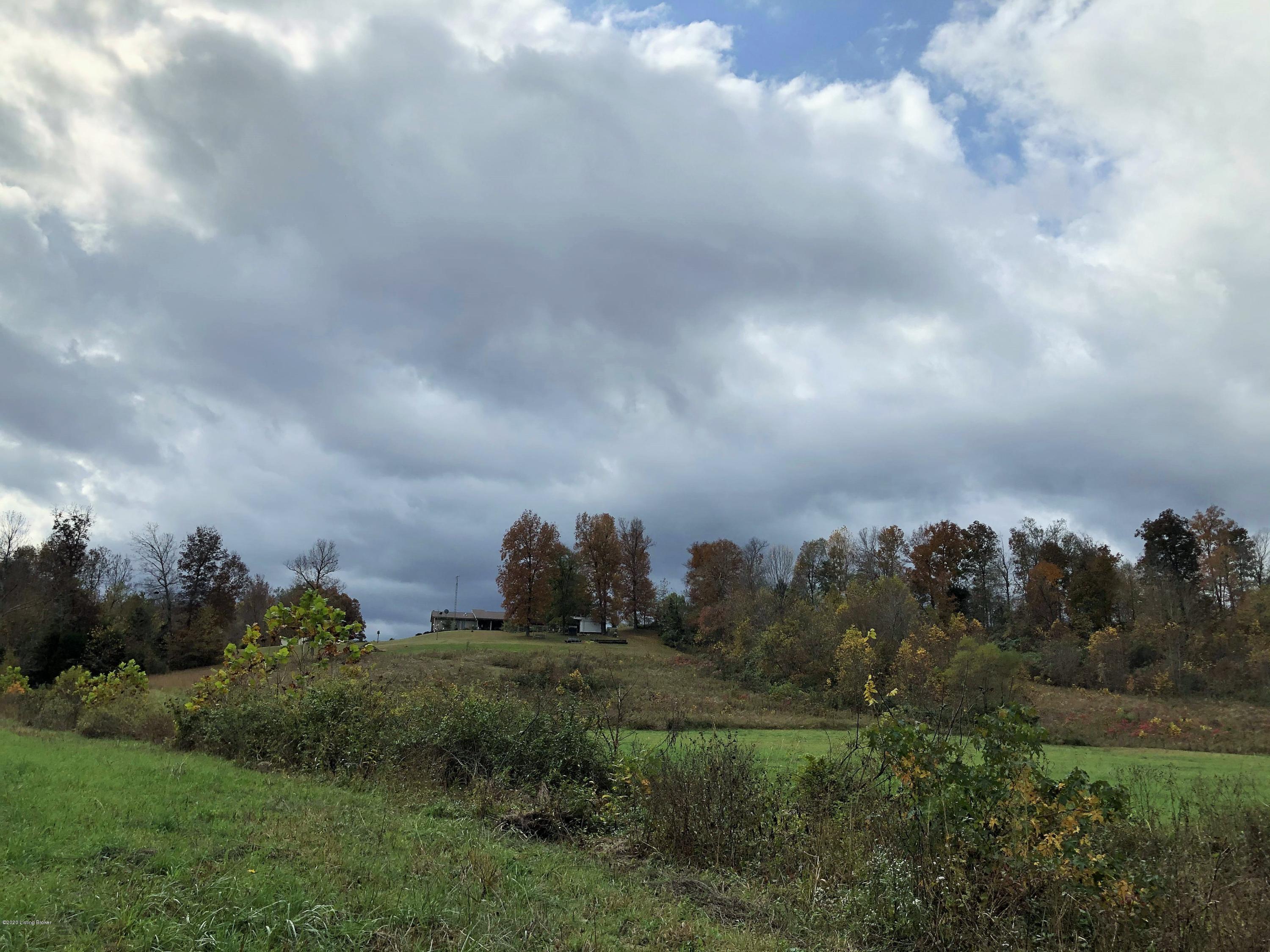 243 Old Peth Road Caneyville, KY 42721 - Photo 70 of 72 2020-10-23_12-06-09_095 (2)