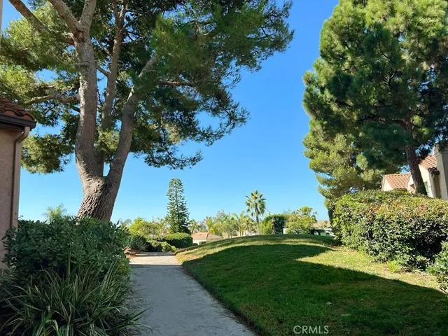 a view of a park with large trees