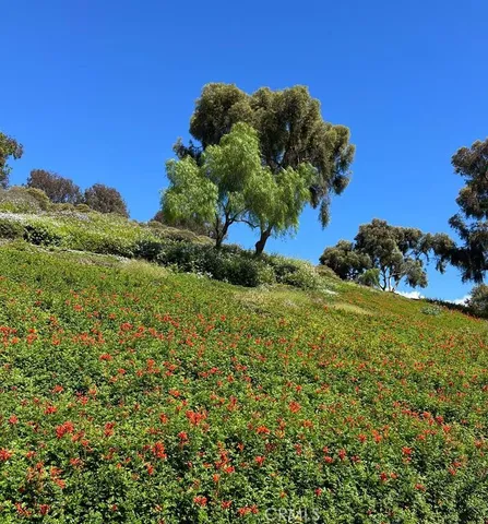 $3,450 | 1074 Calle Del Cerro, Unit 1805, San Clemente, CA 92672