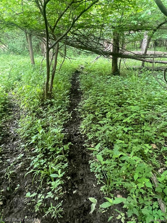 0 Ducker Road Marlette, MI 48453 - Photo 17 of 44