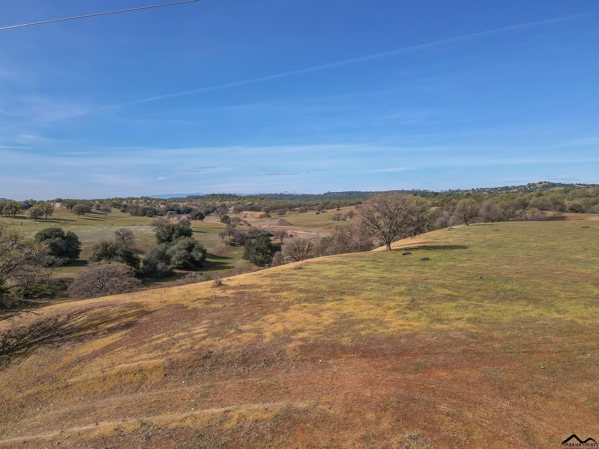 0 Riverview Ranch Road Red Bluff, CA 96080 - Photo 4 of 20 Gallery Image 4