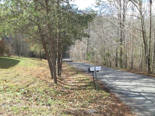 1055 Misty Ridge Lane Montvale, VA 24122 - Photo 3 of 24 Street View looking left