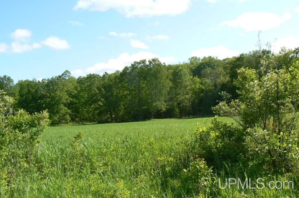 Tbd North Samuelson Road Chatham, MI 49816 - Photo 10 of 10