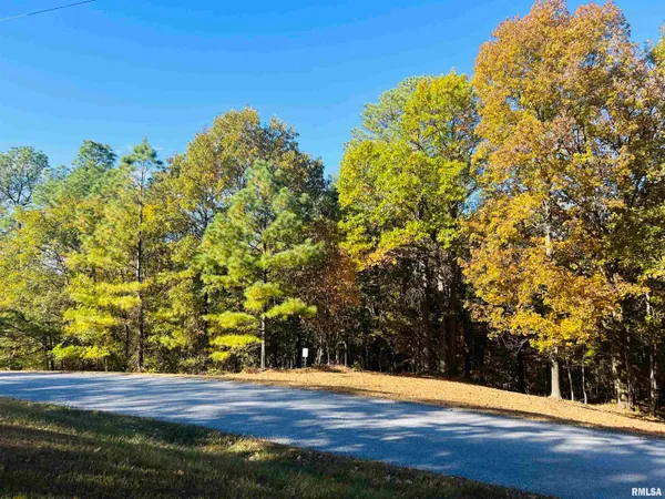 $38,000 | Lot 39-40 Luxor Landing Lane, Goreville, IL 62939