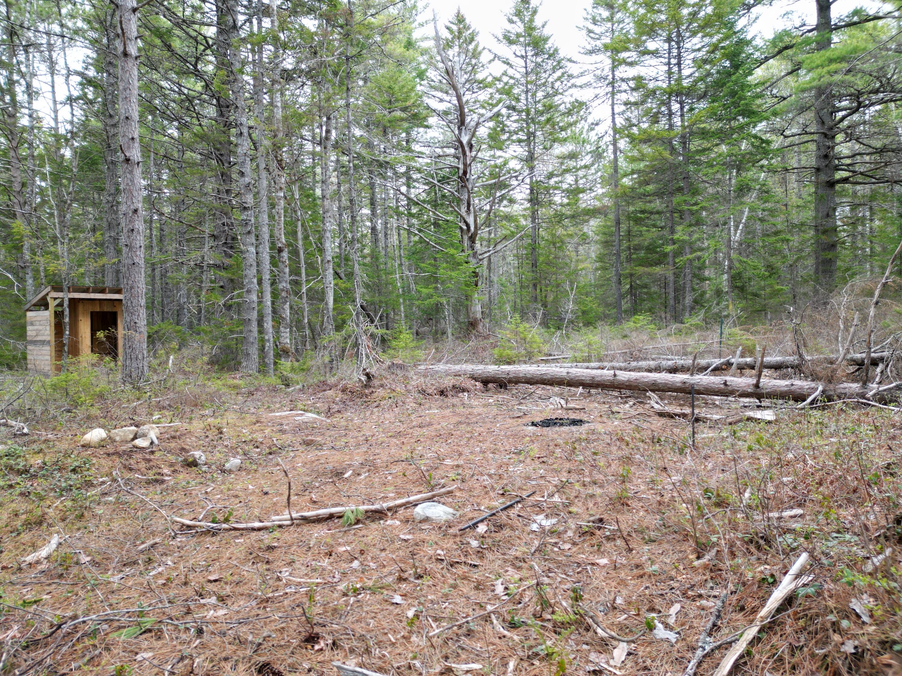 1323 Deer Haven Road Wesley, ME 04686 - Photo 6 of 14 DJI_0417