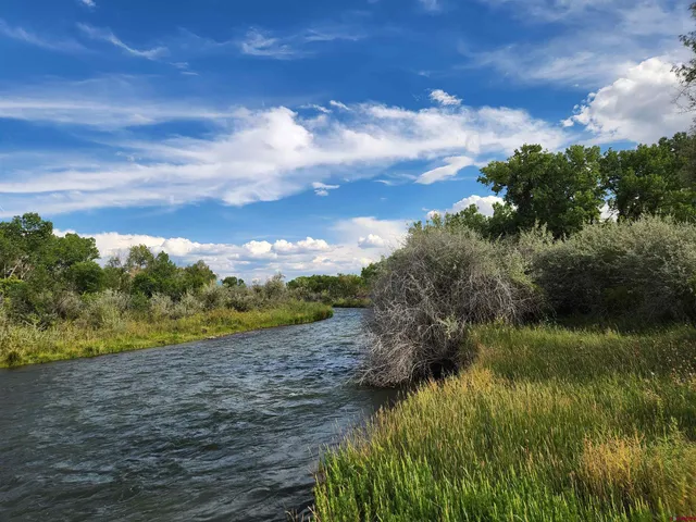 a view of a lake with a yard