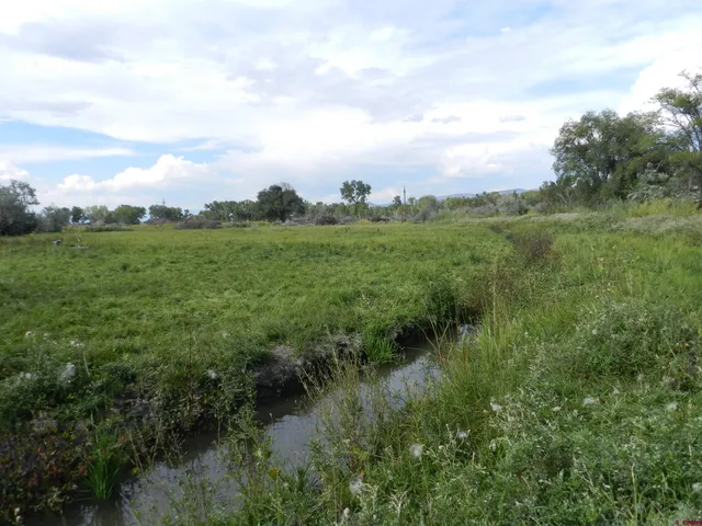 a view of a green field with lots of green space