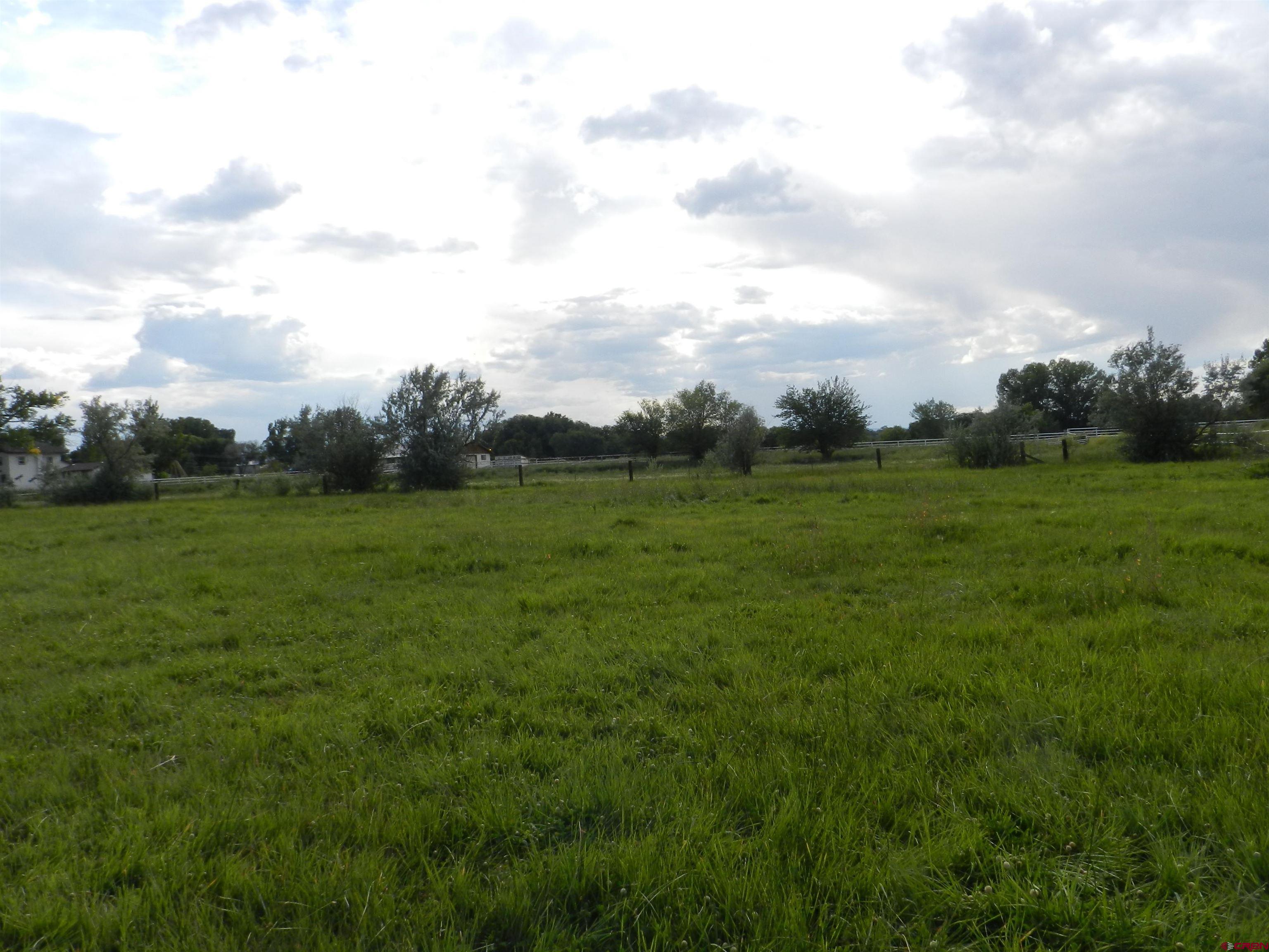 755 Spring Creek Road Montrose, CO 81403 - Photo 14 of 33 a view of a grassy field