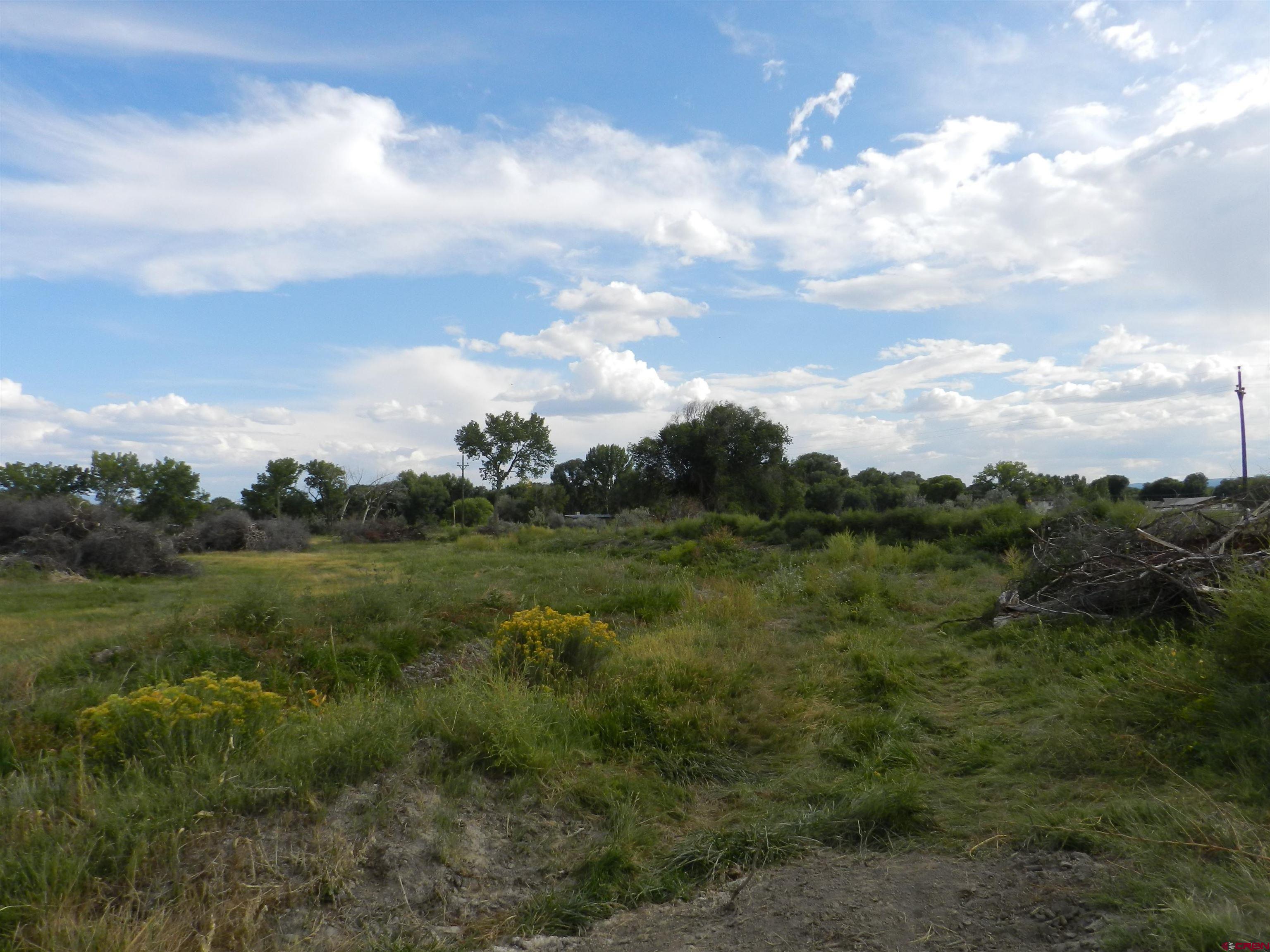 755 Spring Creek Road Montrose, CO 81403 - Photo 15 of 33 a view of a city and mountains