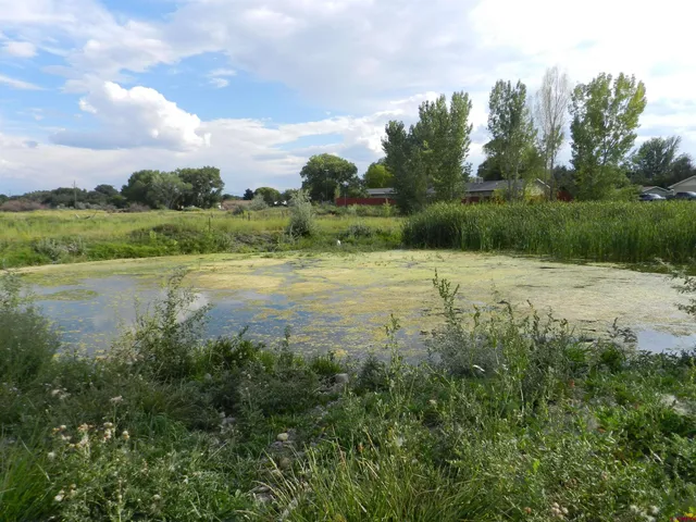 a view of outdoor space and yard
