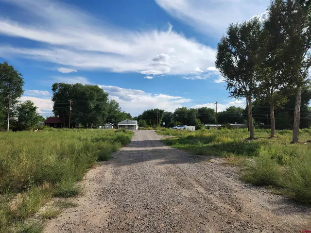 a view of a garden with an outdoor seating