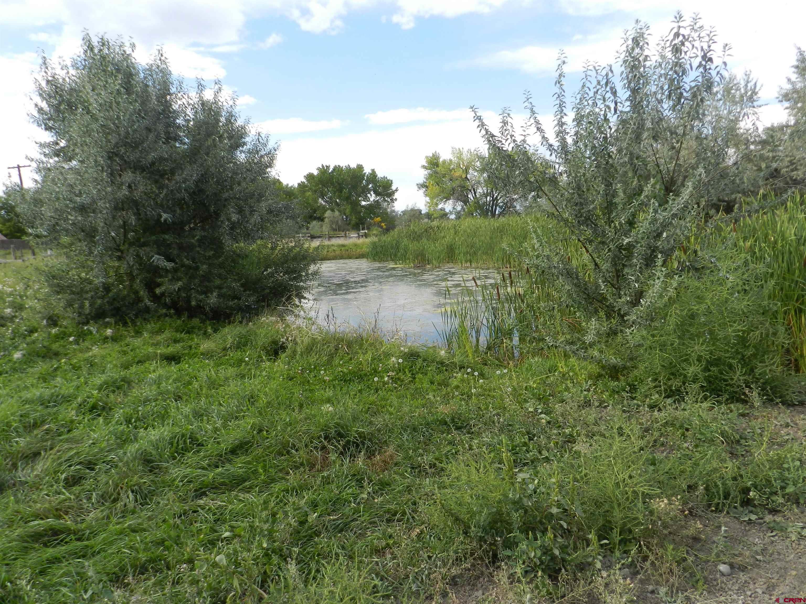 755 Spring Creek Road Montrose, CO 81403 - Photo 21 of 33 a view of a lake view with houses in back
