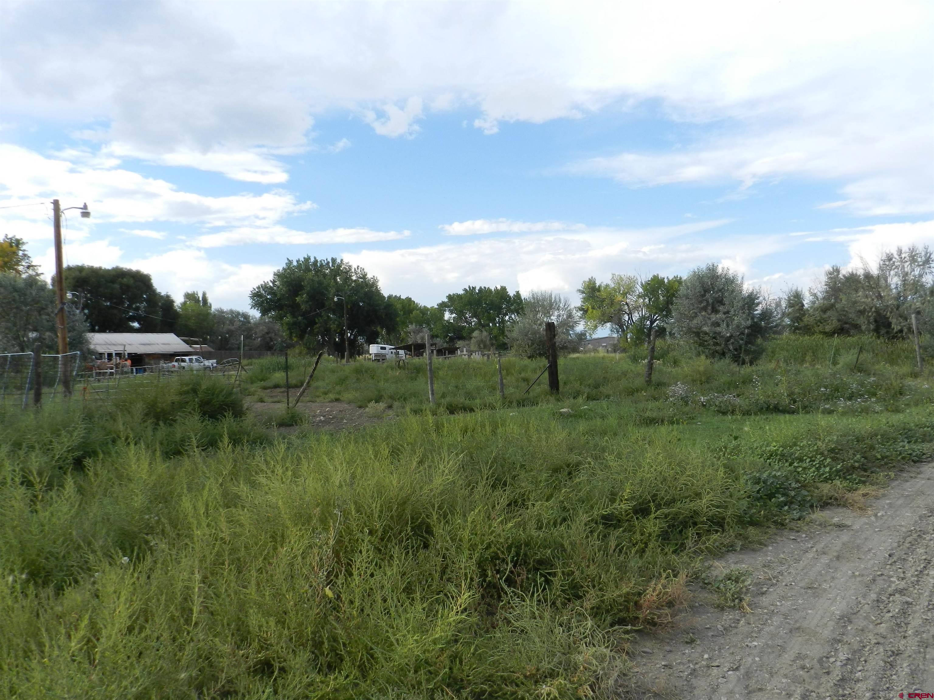 755 Spring Creek Road Montrose, CO 81403 - Photo 22 of 33 a view of a green field with lots of bushes