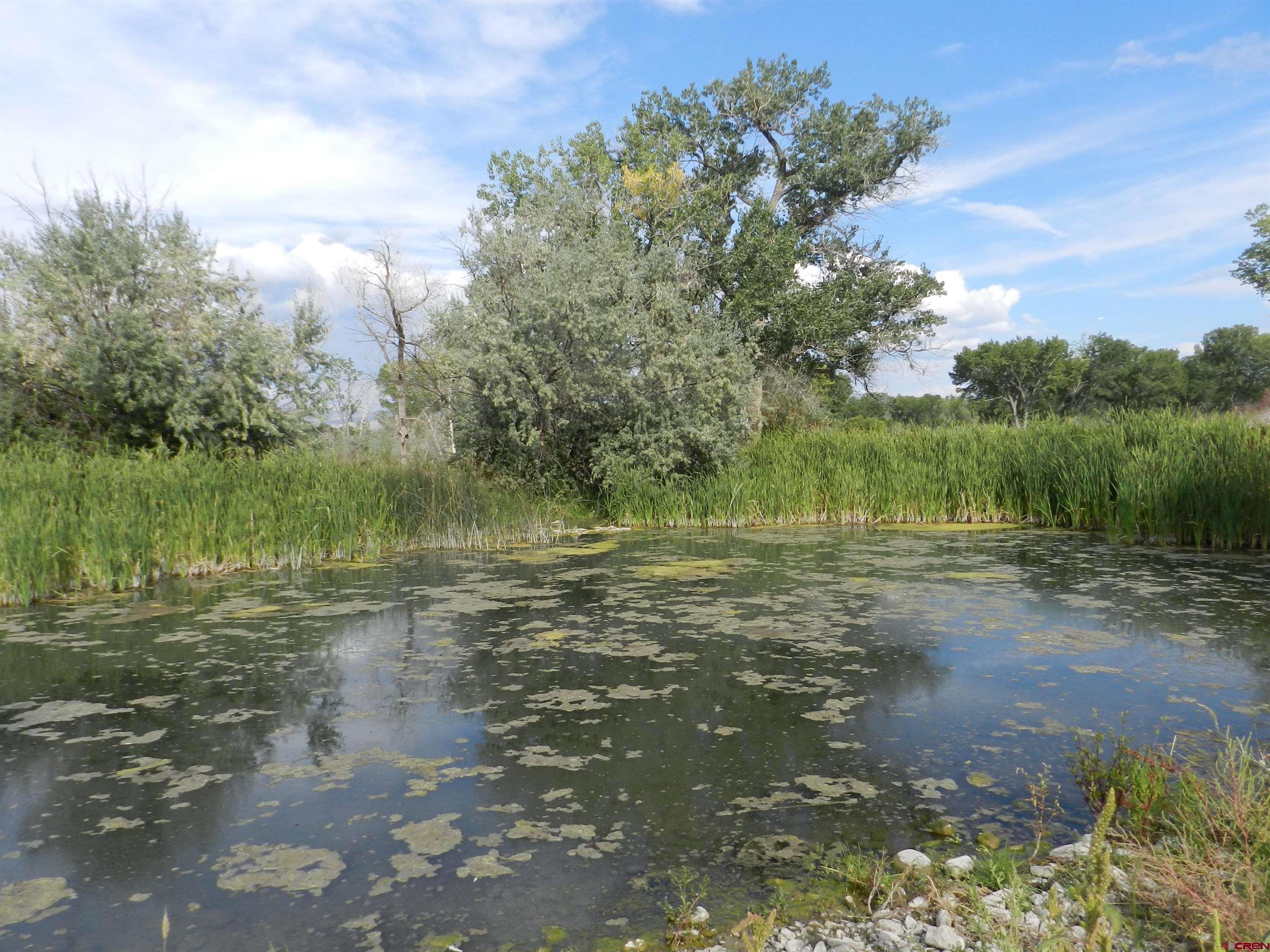 755 Spring Creek Road Montrose, CO 81403 - Photo 23 of 33 a view of lake with green space