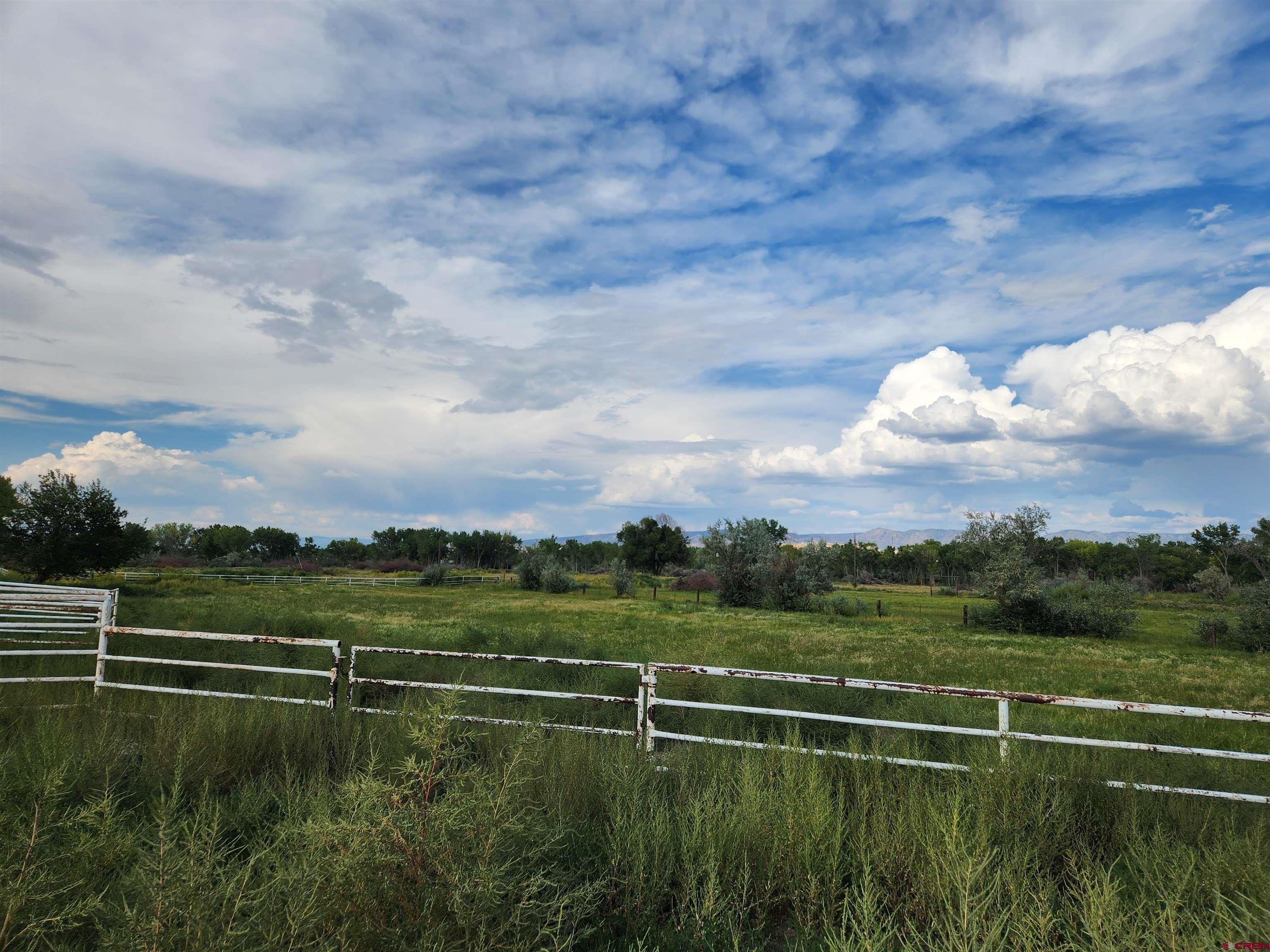755 Spring Creek Road Montrose, CO 81403 - Photo 3 of 33 a view of a lake with a big yard