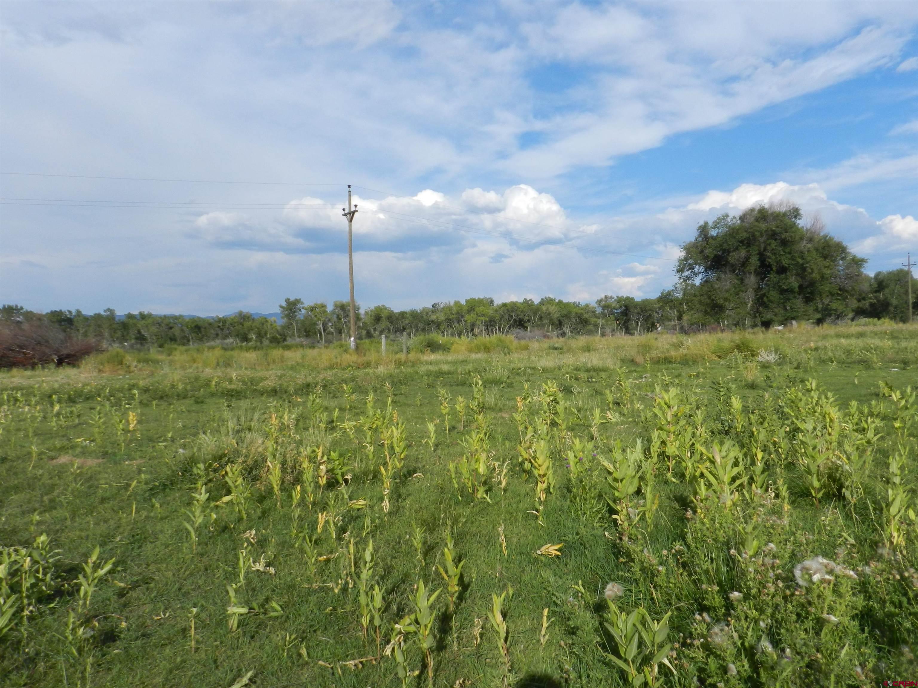 755 Spring Creek Road Montrose, CO 81403 - Photo 32 of 33 a backyard of a house with table and chairs
