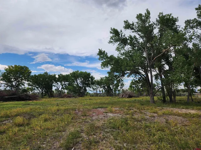 a view of outdoor space with city view