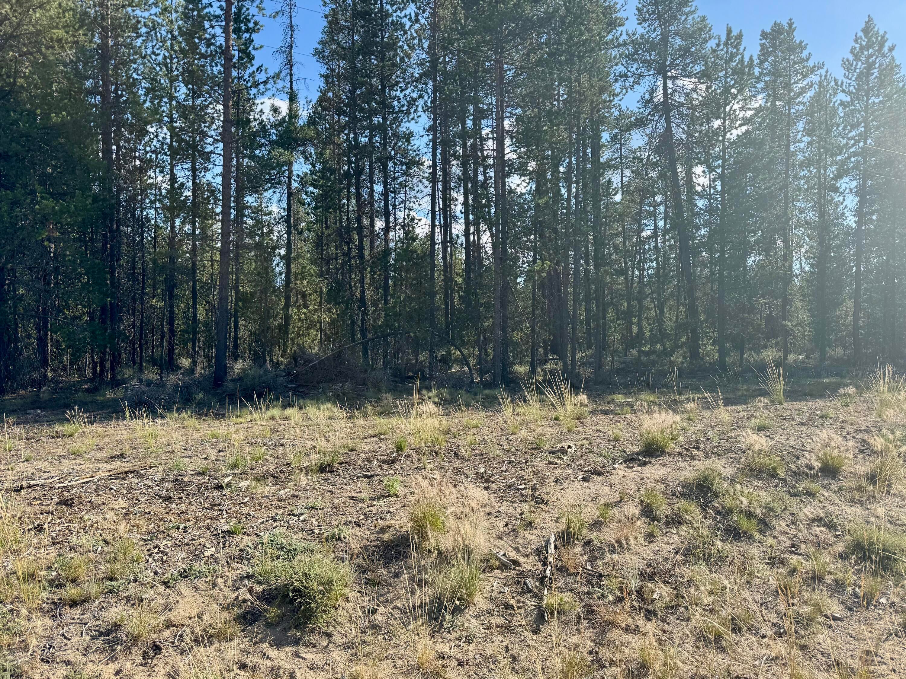 7 Jerry Road La Pine, OR 97739 - Photo 2 of 3 IMG_5482