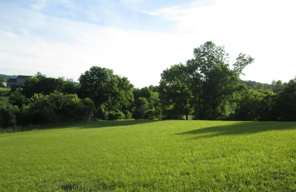 a view of a golf course