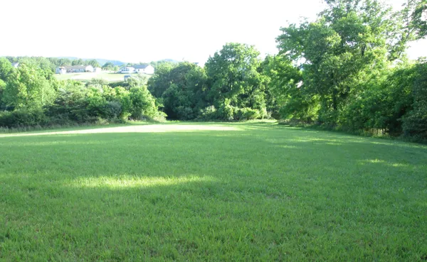 a view of a big yard with large trees