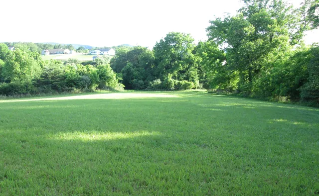 a view of a big yard with large trees