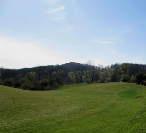 a view of grassy field with mountain