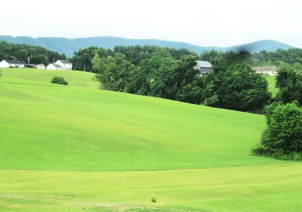 a view of a field with a trees in the background