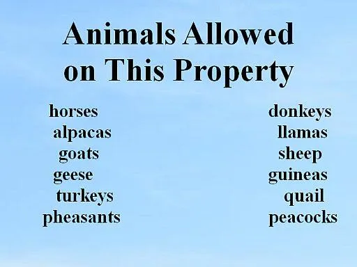 a close up of a sign