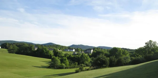 a view of a lush green field with mountains in the background