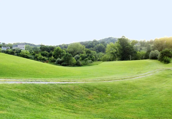 a view of a field with a big yard