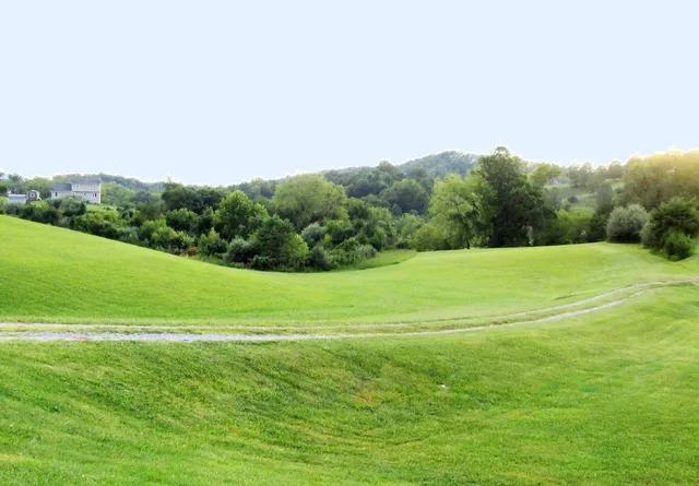 a view of a field with a big yard