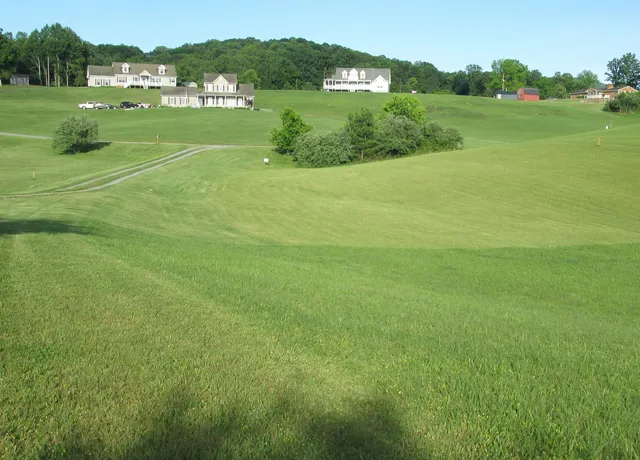 a big yard with lots of green space and mountain view in back