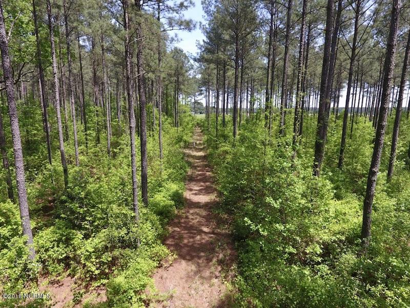 33-ac Tedder Road Lucama, NC 27851 - Photo 18 of 33 17