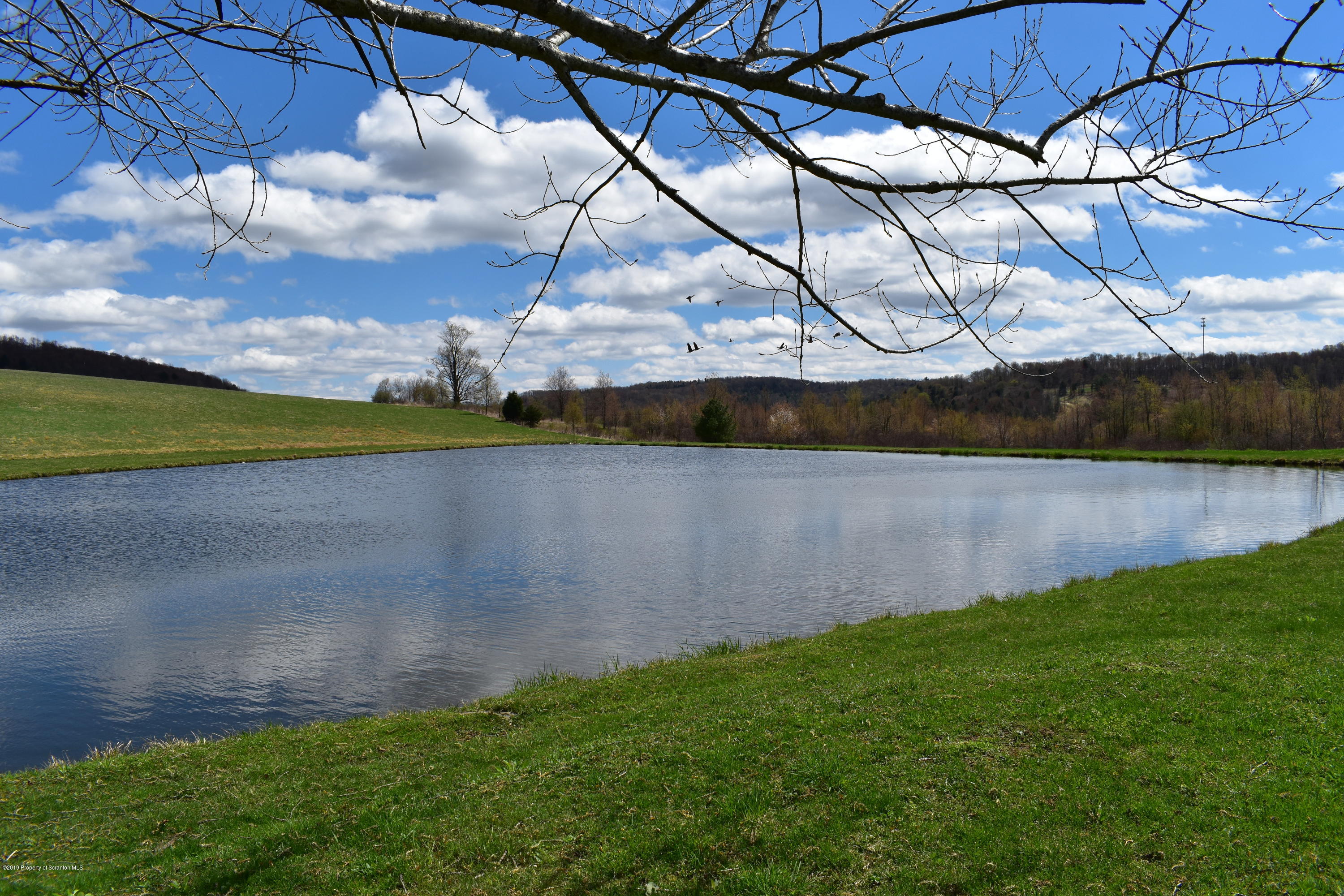 550 Hall Road New Milford, PA 18834 - Photo 8 of 45 Gallery Image 8