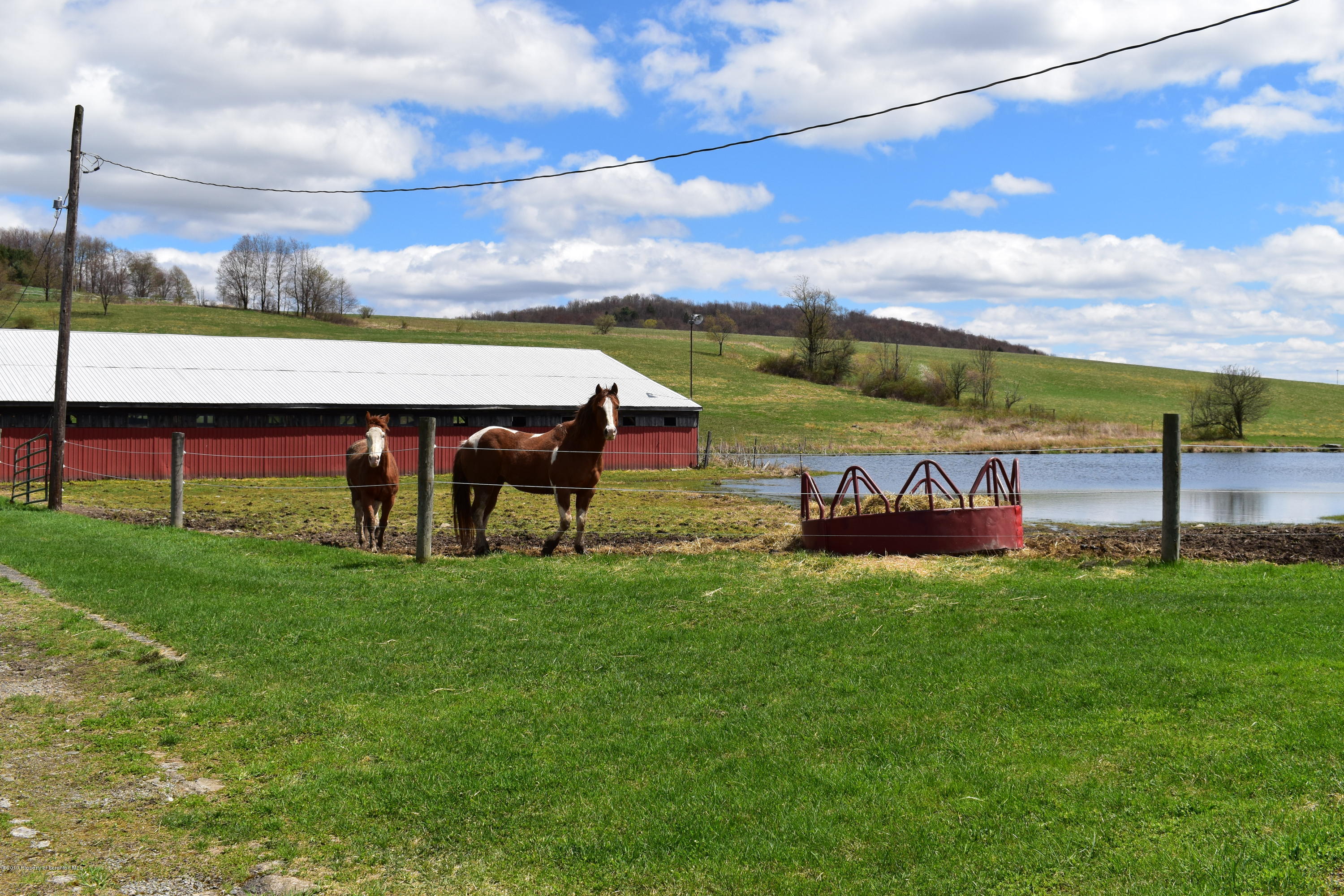 550 Hall Road New Milford, PA 18834 - Photo 10 of 45 Gallery Image 10