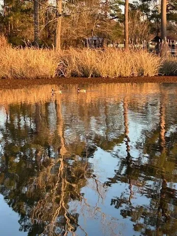 $399,000 | 1009 Lion Heart Lane, Summerton, SC 29148