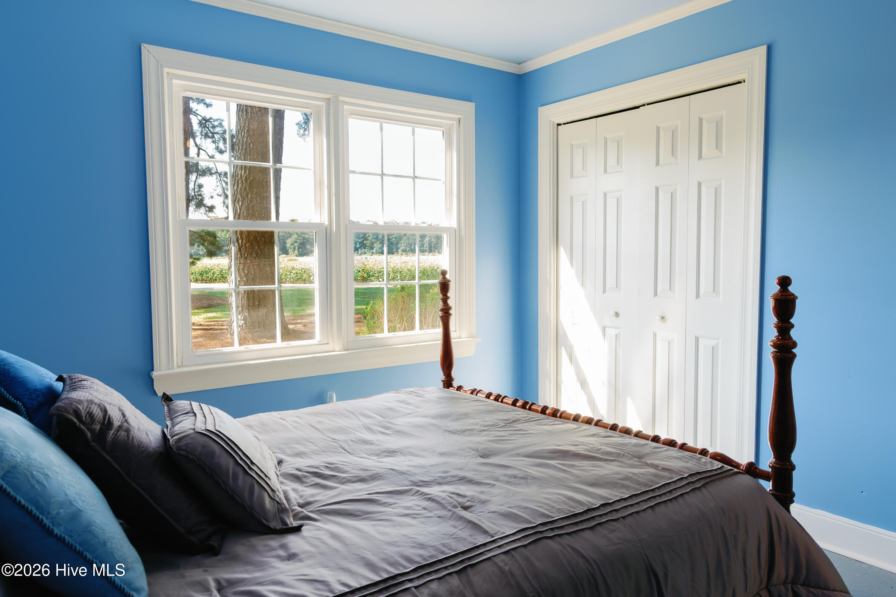 424 Dail Road Grimesland, NC 27837 - Photo 28 of 33 Gallery Image 28